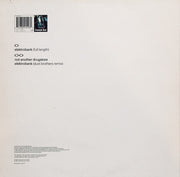 The Chemical Brothers : Elektrobank (12", Single)