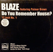 Blaze Feat. Palmer Brown : Do You Remember House? (12")