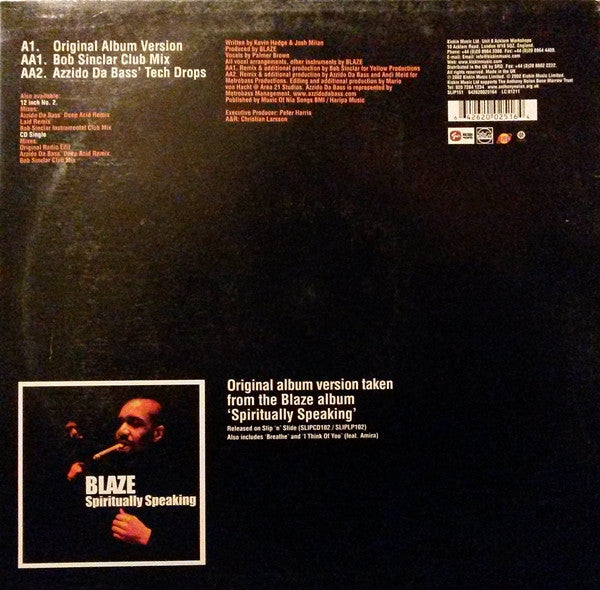 Blaze Feat. Palmer Brown : Do You Remember House? (12")