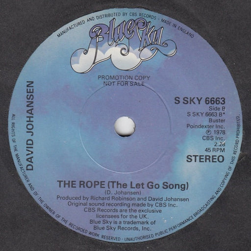 David Johansen : Funky But Chic / The Rope (The Let Go Song) (7", Single, Promo)