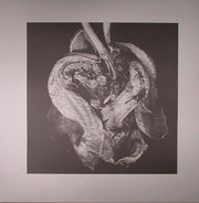Takuya Matsumoto : Ram EP (12", EP)