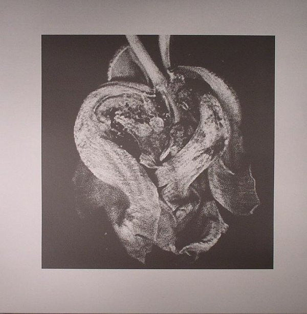 Takuya Matsumoto : Ram EP (12", EP)