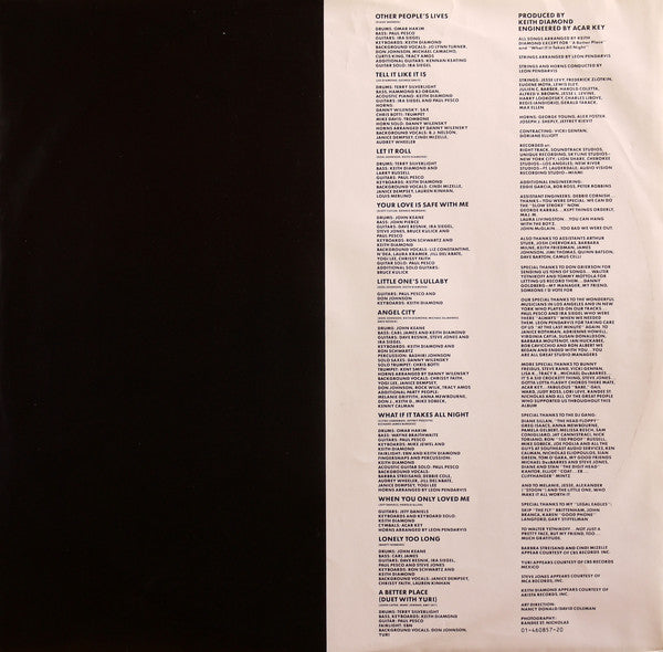 Don Johnson : Let It Roll (LP, Album)