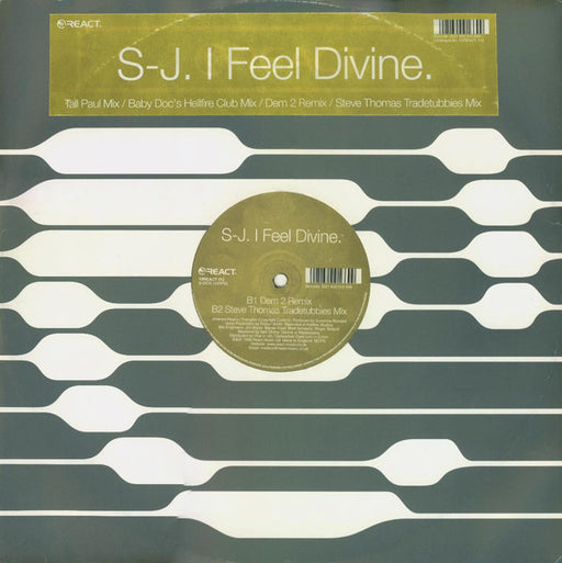 S-J : I Feel Divine (12")