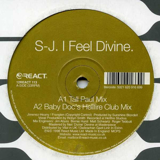 S-J : I Feel Divine (12")