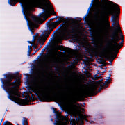 Panthera Krause* : Laika (12", EP)