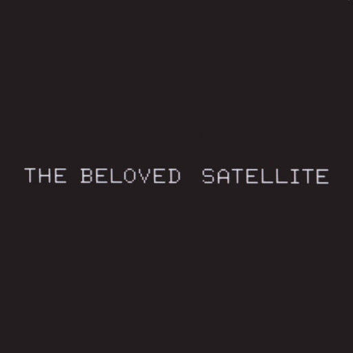 The Beloved : Satellite (2x12", Promo)