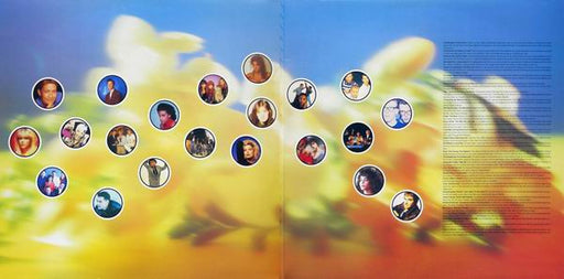 Various : The Hits Album (2xLP, Comp)