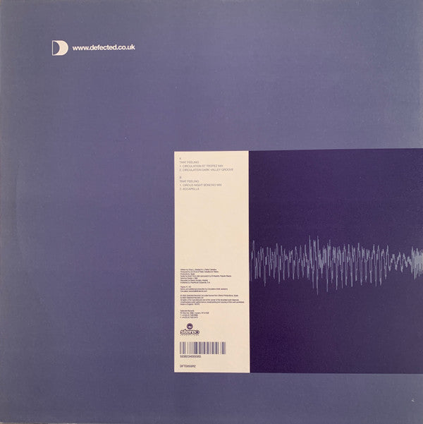 DJ Chus Presents The Groove Foundation* : That Feeling (Remixes) (12")