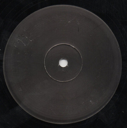 DJ Mode : It's Fun To Compute / Can You Feel It (12", W/Lbl)