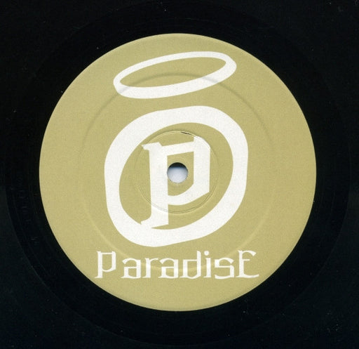 Roger Sanchez : Lost (12")