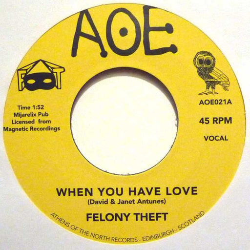 Felony Theft : When You Have Love / Run For Cover (7")