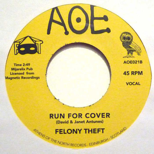 Felony Theft : When You Have Love / Run For Cover (7")