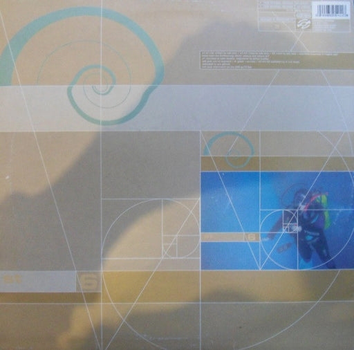 Salt Tank : Eugina ST 6  (12")