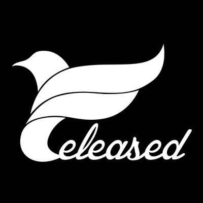 David Terzian : Radikal Floor (12", Promo, W/Lbl)