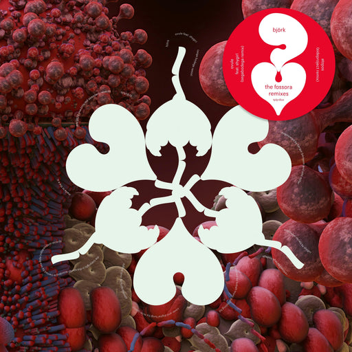 Björk - Ovule (Sega Bodega Remix) / Atopos (sideproject Remix) - 12" Vinyl (RSD 2023) - Released Records