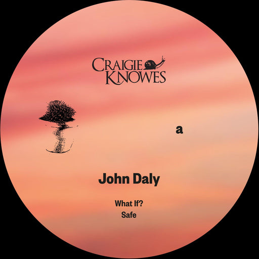 John Daly - Safe EP. This is a product listing from Released Records Leeds, specialists in new, rare & preloved vinyl records.