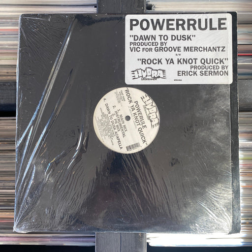 Powerule - Dawn To Dusk - 12" Vinyl - Released Records