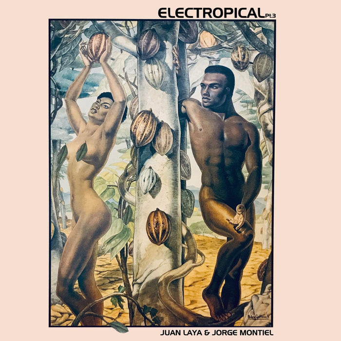 Juan Laya & Jorge Montiel - Electropical, Pt 3. This is a product listing from Released Records Leeds, specialists in new, rare & preloved vinyl records.