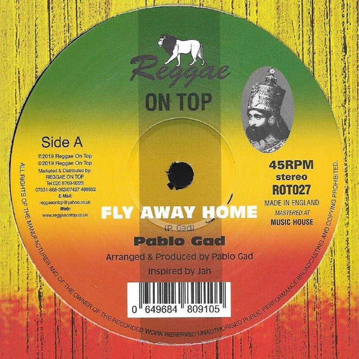 Pablo Gad - Fly Away Home. This is a product listing from Released Records Leeds, specialists in new, rare & preloved vinyl records.
