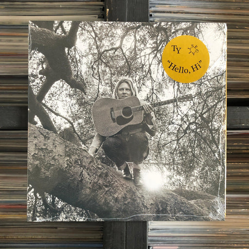 Ty Segall - "Hello, Hi" - Vinyl LP 22.07.22. This is a product listing from Released Records Leeds, specialists in new, rare & preloved vinyl records.