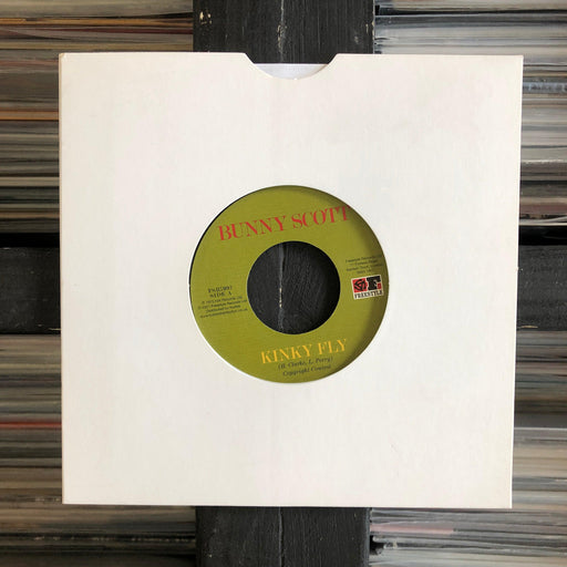 Bunny Scott - Kinky Fly / Sweet Loving Love - 7" Vinyl 03.08.22. This is a product listing from Released Records Leeds, specialists in new, rare & preloved vinyl records.