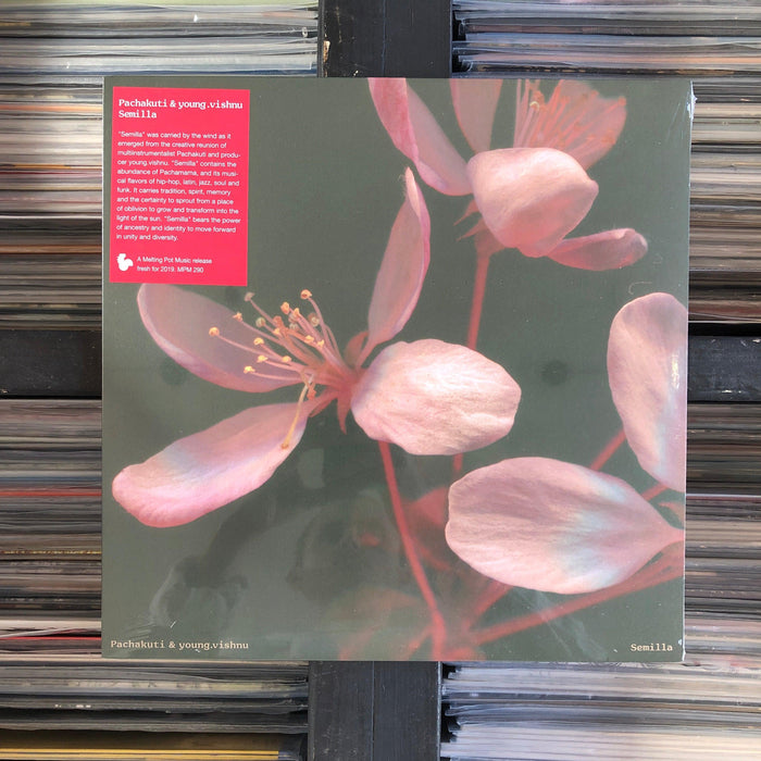 Pachakuti & young.vishnu – Semilla - Vinyl LP 03.08.22. This is a product listing from Released Records Leeds, specialists in new, rare & preloved vinyl records.