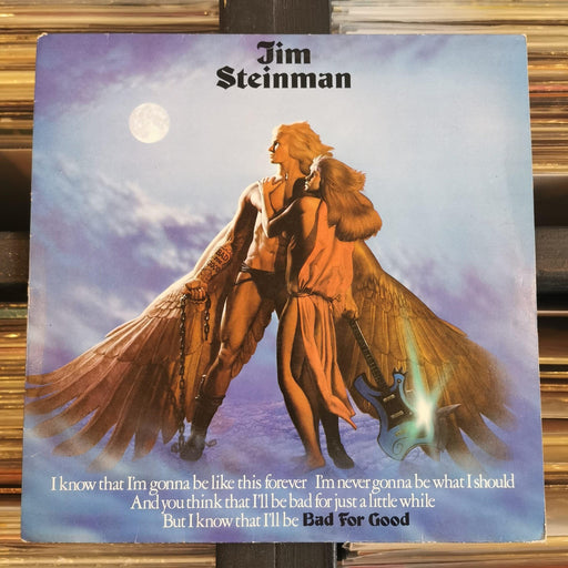 Jim Steinman - Bad For Good - Vinyl LP. This is a product listing from Released Records Leeds, specialists in new, rare & preloved vinyl records.