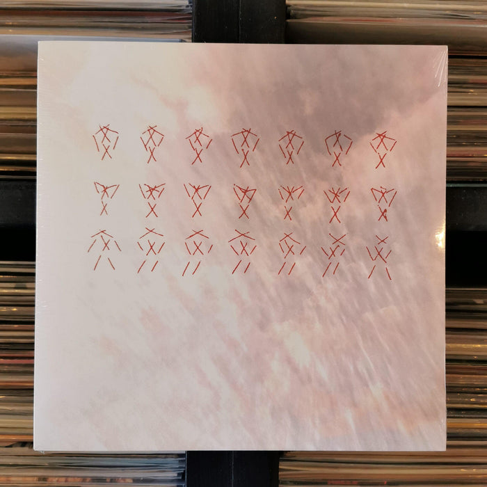 Junya Tokuda & Tolerance - VANITY RE-MAKE/RE-MODEL Vol.1 - Vinyl LP. This is a product listing from Released Records Leeds, specialists in new, rare & preloved vinyl records.