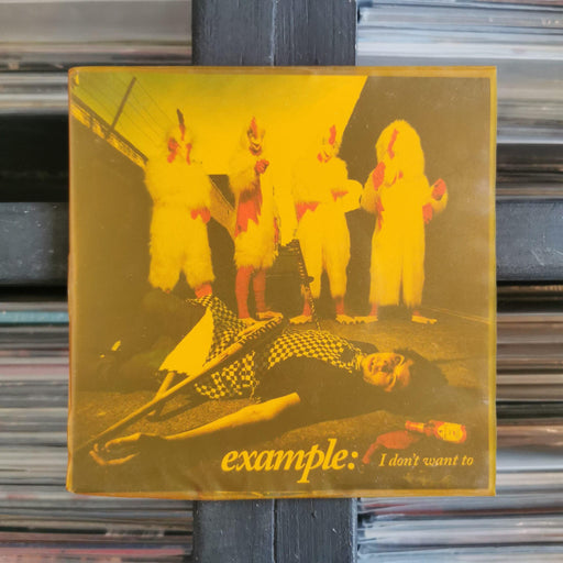 Example - I Don't Want To - 7" 2nd Hand. This is a product listing from Released Records Leeds, specialists in new, rare & preloved vinyl records.
