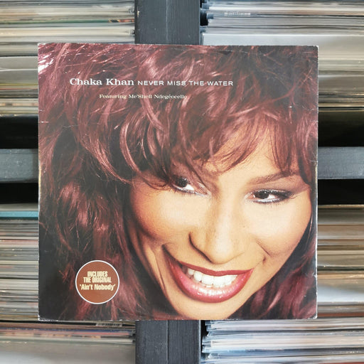 Chaka Khan Feat: Me'Shell NdegéOcello - Never Miss The Water - 12" Vinyl. This is a product listing from Released Records Leeds, specialists in new, rare & preloved vinyl records.