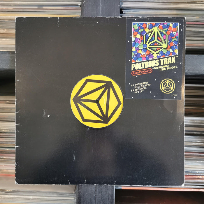 Posthuman Vs. The Model - Split Project #2 - 12" Vinyl. This is a product listing from Released Records Leeds, specialists in new, rare & preloved vinyl records.