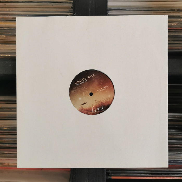 Reedale Rise - Flux Function - 12" Vinyl. This is a product listing from Released Records Leeds, specialists in new, rare & preloved vinyl records.