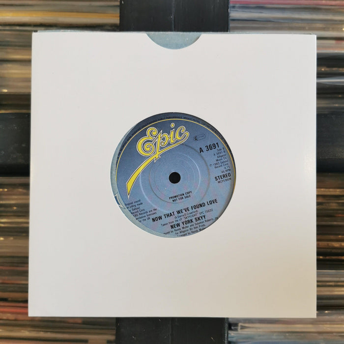 New York Skyy - Show Me The Way - 7" Vinyl. This is a product listing from Released Records Leeds, specialists in new, rare & preloved vinyl records.