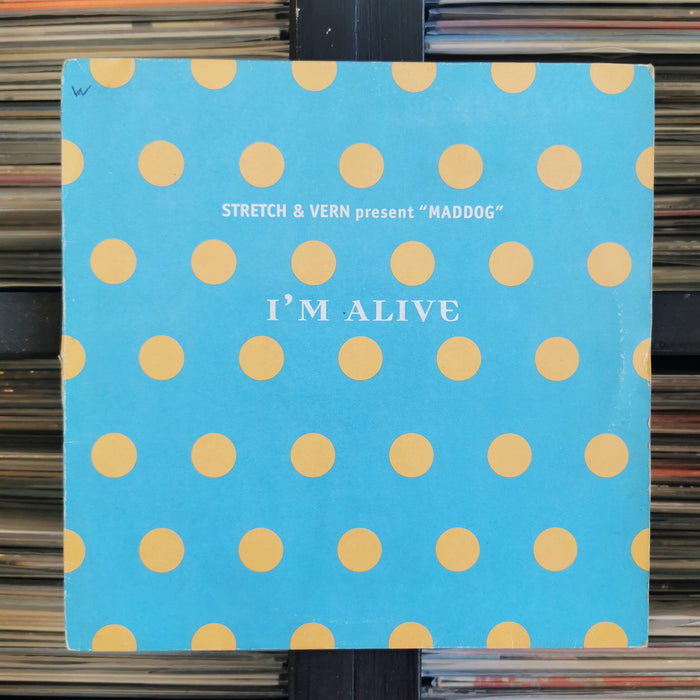 Stretch & Vern present Maddog - I'm Alive - 12". This is a product listing from Released Records Leeds, specialists in new, rare & preloved vinyl records.