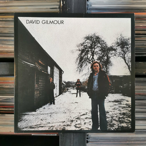 David Gilmour - David Gilmour - Vinyl LP