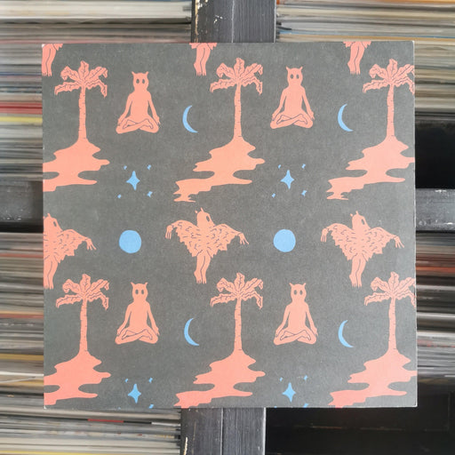 Golden Ivy - Sketches Of Golden Ivy - 12" Vinyl. This is a product listing from Released Records Leeds, specialists in new, rare & preloved vinyl records.