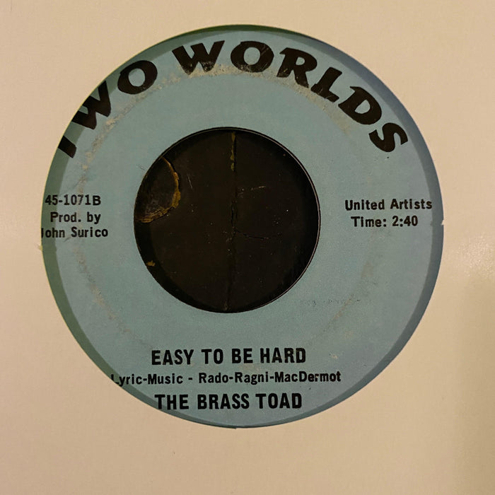 The Brass Toad - In The Back Of My Mind - 7" Vinyl. This is a product listing from Released Records Leeds, specialists in new, rare & preloved vinyl records.