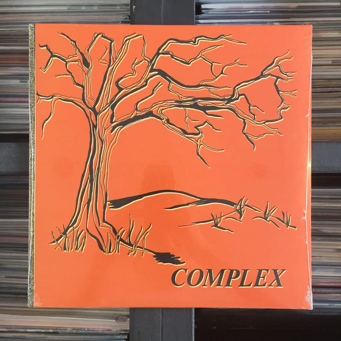 Complex - Complex - Vinyl LP. This is a product listing from Released Records Leeds, specialists in new, rare & preloved vinyl records.