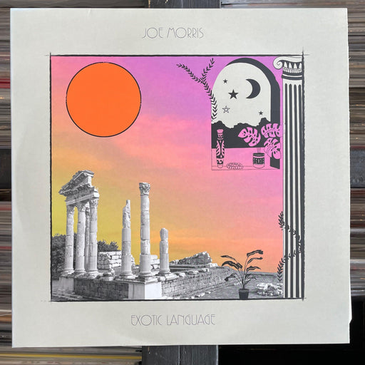 Joe Morris - Exotic Language - 2 x Vinyl LP - Released Records