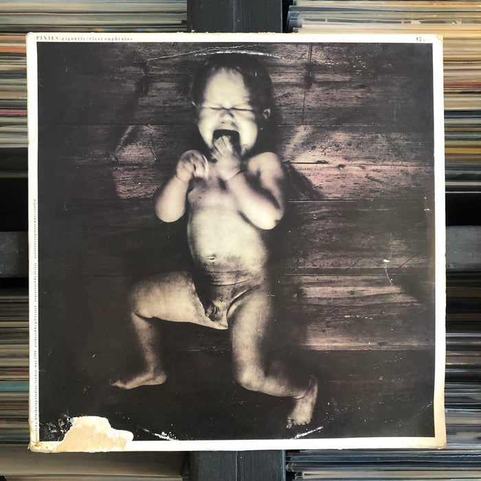 Pixies - Gigantic / River Euphrates - 12" Vinyl. This is a product listing from Released Records Leeds, specialists in new, rare & preloved vinyl records.