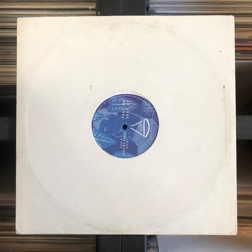 Reggie Dokes, Gari Romalis - Feel Me Deep - 12" Vinyl. This is a product listing from Released Records Leeds, specialists in new, rare & preloved vinyl records.