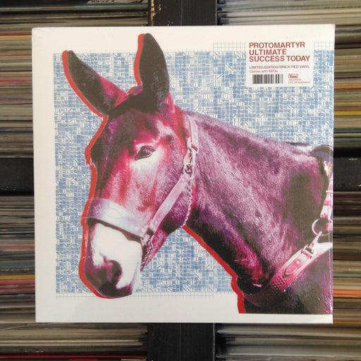 Protomartyr - Ultimate Success Today - Vinyl LP - Released Records