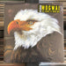 MOGWAI - THE HAWK IS HOWLING - Vinyl LP. This is a product listing from Released Records Leeds, specialists in new, rare & preloved vinyl records.
