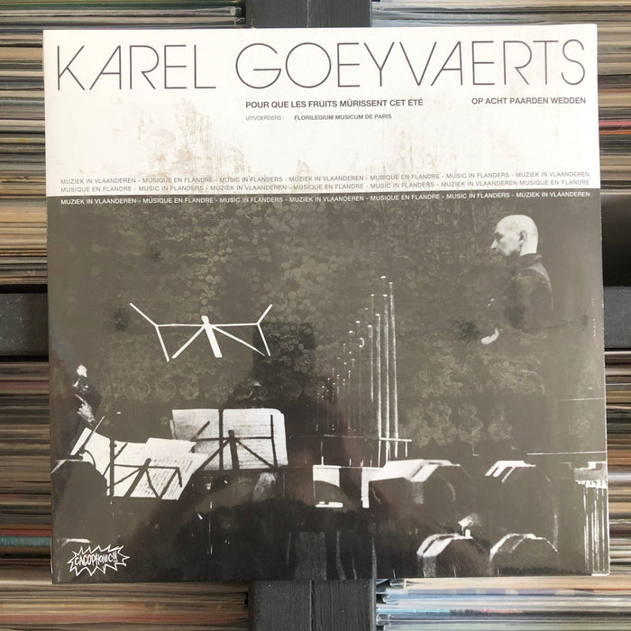 KAREL GOEYVAERTS - Pour Que Les Fruits Mûrissent Cet Été / Op Acht Paarden Wedden - Vinyl LP. This is a product listing from Released Records Leeds, specialists in new, rare & preloved vinyl records.