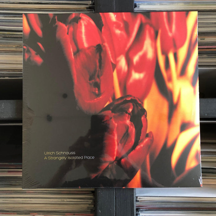 ULRICH SCHNAUSS - A STRANGELY ISOLATED PLACE - Vinyl LP. This is a product listing from Released Records Leeds, specialists in new, rare & preloved vinyl records.