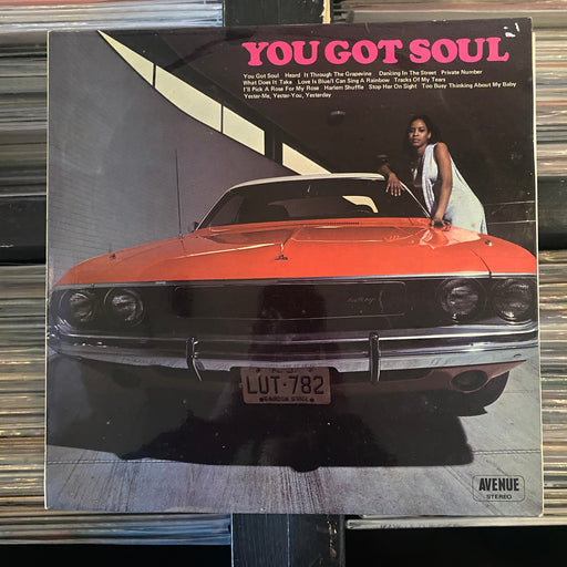 Unknown Artist - You Got Soul - Vinyl LP 09.12.23 09.12.23