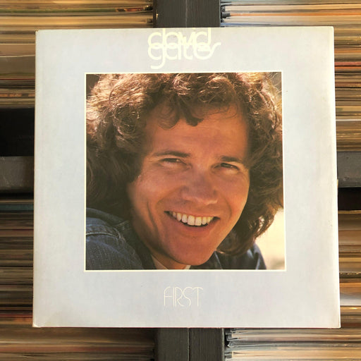 David Gates - First - Vinyl LP. This is a product listing from Released Records Leeds, specialists in new, rare & preloved vinyl records.