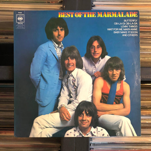 The Marmalade - The Best Of The Marmalade - Vinyl LP. This is a product listing from Released Records Leeds, specialists in new, rare & preloved vinyl records.