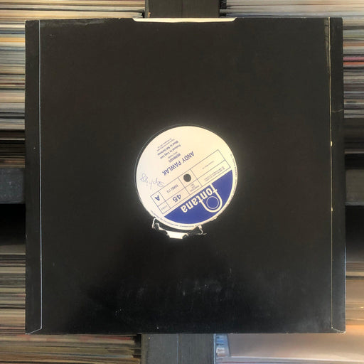 Andy Pawlak - Mermaids - 12" Vinyl. This is a product listing from Released Records Leeds, specialists in new, rare & preloved vinyl records.